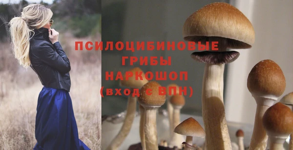 прущий лед Бронницы