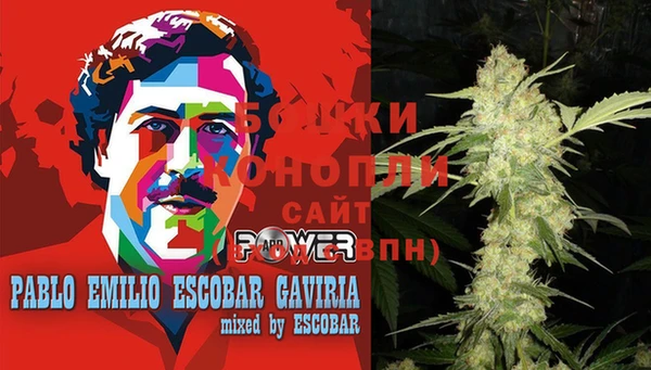 шишки Бугульма