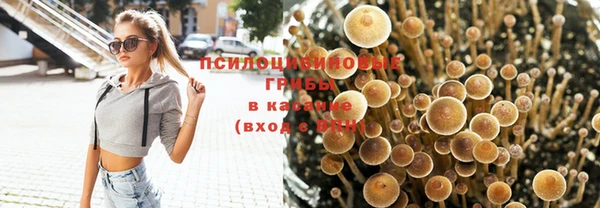 меф VHQ Бородино