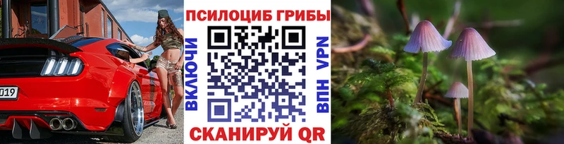 Галлюциногенные грибы мицелий  Купить закладки  Сосновый Бор 