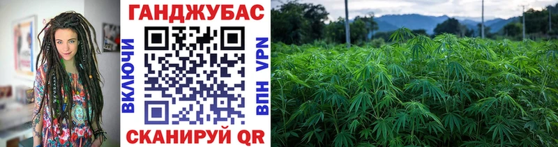 Бошки Шишки тримм  Купить где  Сосновый Бор 